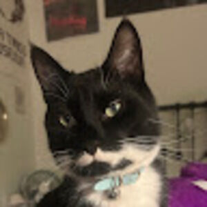 Meet your Posher, Madeleine